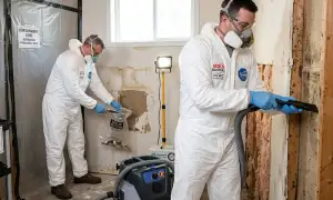 Mold remediation services in Shreveport, LA for water damage cleanup and restoration